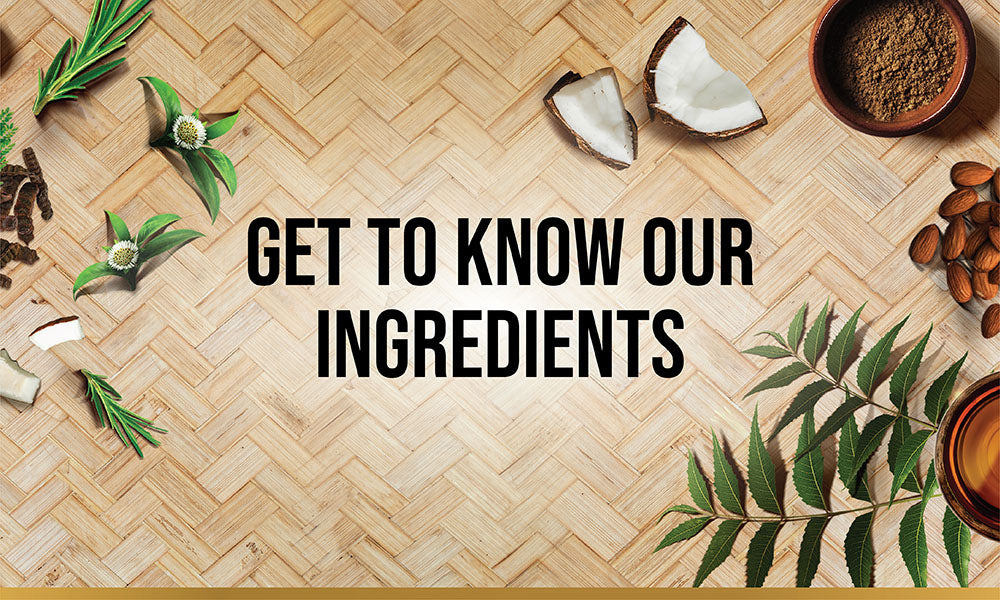 Ingredients | Indulekha