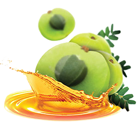amla