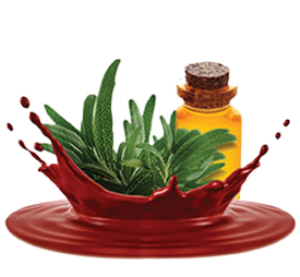 rosemary