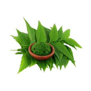 neem
